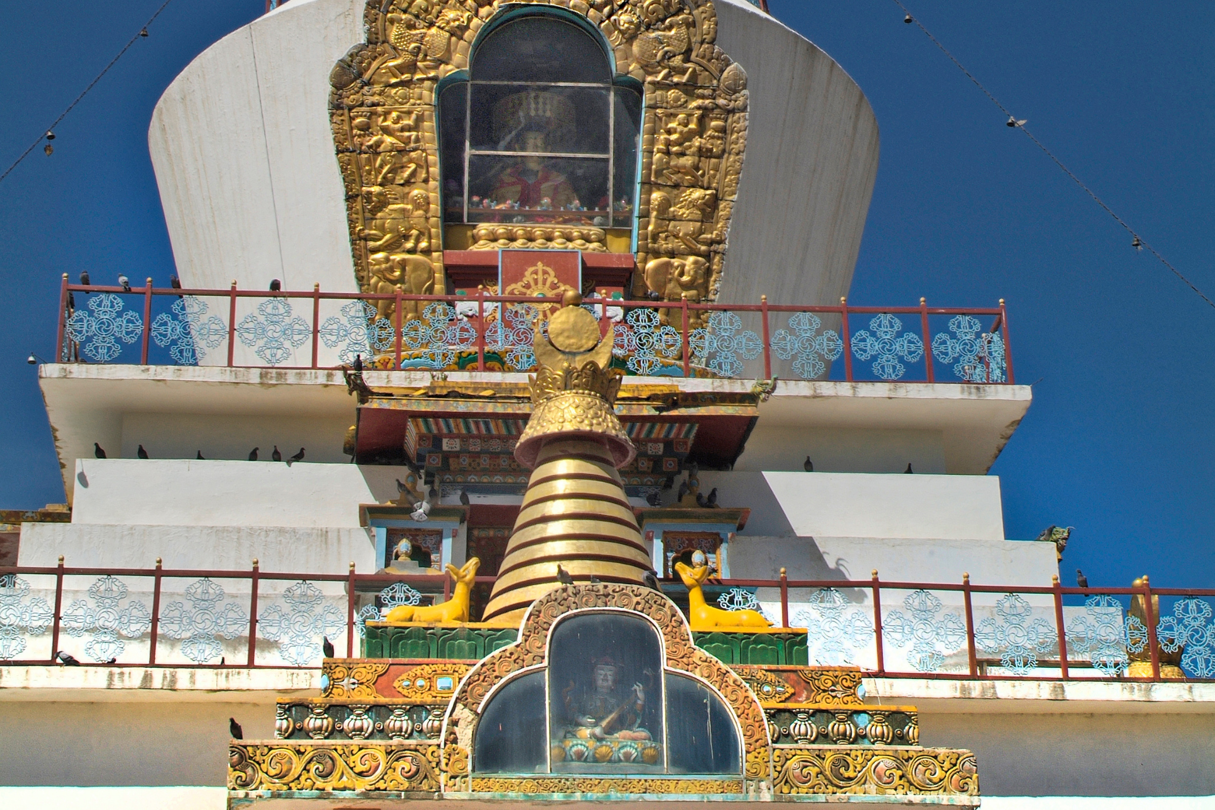thimpu (2).webp
